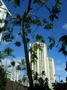 usa_tag15_005