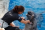 usa_tag16_013