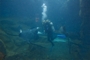 usa_tag16_018