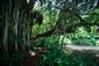 usa_tag17_006