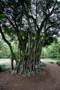 usa_tag19_005