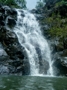 usa_tag19_007