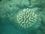 usa_tag20_003