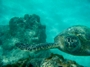 usa_tag20_011