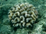 usa_tag20_013
