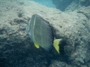 usa_tag20_014