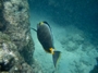 usa_tag20_016