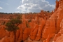 usa_tag05_011