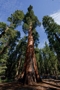 usa_tag10_001