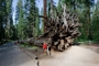usa_tag10_002