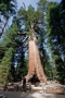 usa_tag10_003