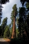 usa_tag10_008