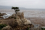 usa_tag12_022