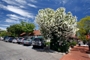 usa_tag13_010